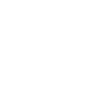 x logo