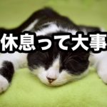 疲れた…もう休みたい…休息って大事ですよ 〜仕事に忙殺されないために考えておくべきこと〜