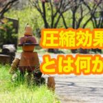 望遠レンズの上手な使い方はどれだけ圧縮効果を理解できるかにかかっている