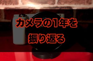 カメラ初心者が独学で1年間撮るとどのくらい上達するのか?