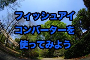 【作例アリ】SONY SEL16F28 VCL-ECF1単焦点、魚眼レンズセット 合わせても3万円弱！広角単焦点レンズSEL16F28と、魚眼