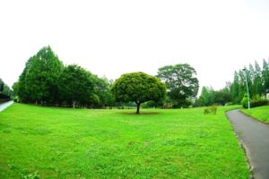 大崎公園の植物園・動物園でいろいろ写真を撮ってきた