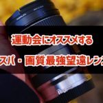 運動会撮影の望遠レンズはTAMRON18−200mmがコスパも画質も最強