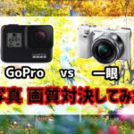 GoProは一眼の代わりになるのか? 一眼 vs GoPro写真画質対決してみた