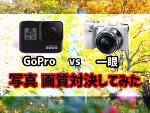 GoProは一眼の代わりになるのか? 一眼 vs GoPro写真画質対決してみた