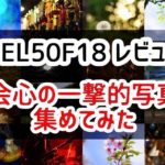 Eマウント単焦点 SEL50F18レビュー　最強コスパの高画質レンズ