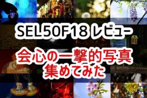 Eマウント単焦点 SEL50F18レビュー　最強コスパの高画質レンズ