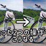 Luminar4のAI補正機能を使い方!たった3秒でRAW現像しよう【割引コードあり】