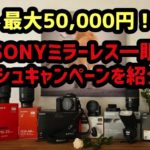 2020.夏!SONYミラーレス一眼カメラ キャッシュバックキャンペーンが来た!!