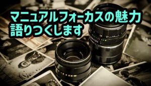 MF（マニュアルフォーカス）で撮る写真の魅力７選　ピントの隙間を撮るのが楽しい