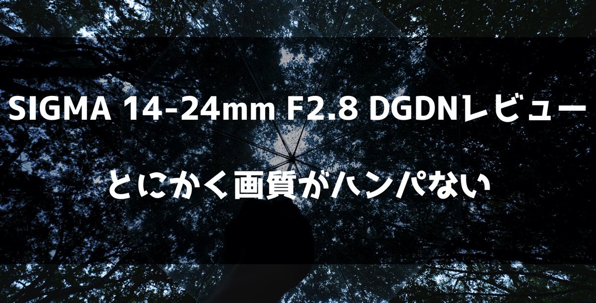 フルサイズEマウントの広角神レンズSIGMA14-24mmをレビューした